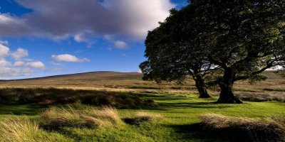 Newgrange Day Tours wicklow mountains greenery